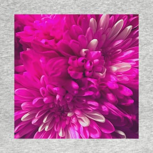 Chrysanthemum flowers close up photo T-Shirt